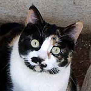 JenniferWilliam's avatar